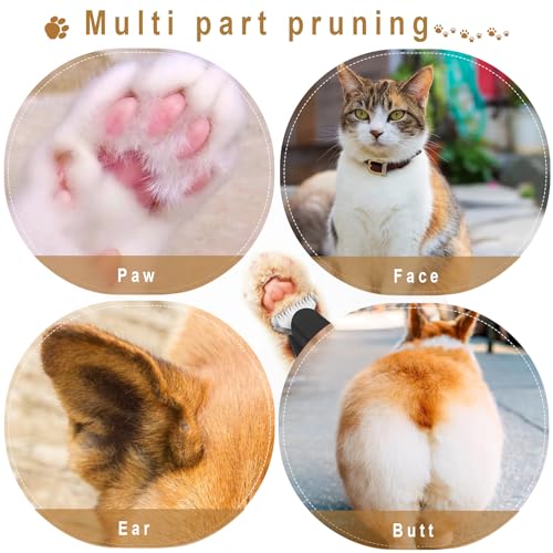 New Pet Precision Trimmer,Pet Dog Paw Trimmer with LED Light,3 Adjustable Speeds, Low Noise, for Trimming Paws, Eyes, Ears, Between Toes, USB Rechargeable