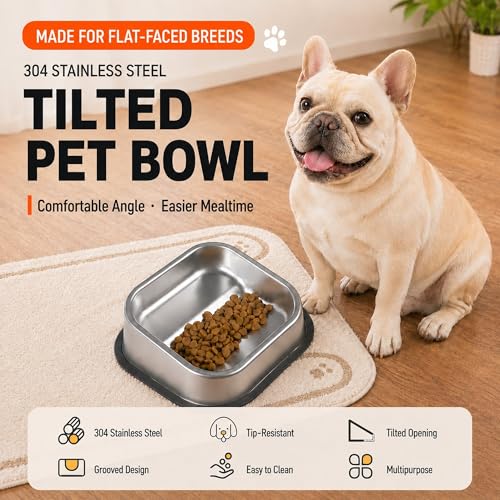 Slanted Dog Bowl for Flat-Faced Breeds - 304 Stainless Steel Tilted Food Bowl for French Bulldogs Pugs Shih Tzus Boston Terriers, Non-Slip Base, Dishwasher Safe, 18 oz