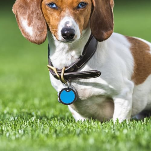jojofuny 6Pcs Black Silicone Dog Tag Sleeves Noise Reduction Covers Pet Id Tag Silencers Replacement Circles for Dog Collars Sturdy Pet Collar Accessories
