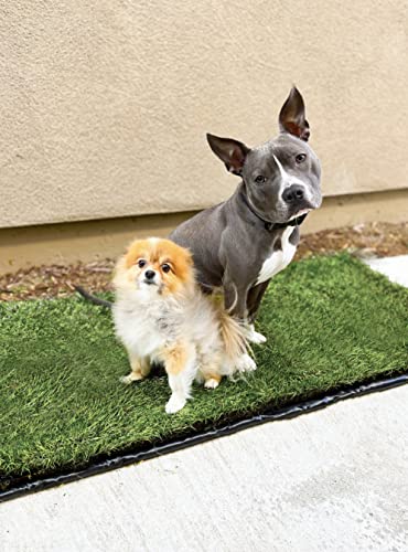 Washable Puppy Dog Pee Pads Mat, Reusable Pee Pad Mat (26.75 in x 51.5 in), Leakproof Potty Training Pad Mat, Real Grass Potty Training Flex Mat, Training Pee Pad Holder for Dogs - Tray Alternative