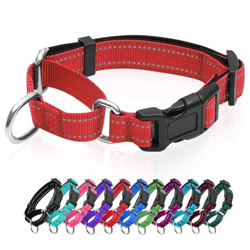 Reflective Martingale Dog Collars. Dog Collar with Quick Release Buckle. Adjustable Soft Padded Breathable Nylon Pet Collar Suitable for Puppies for Small Medium Large Dogs. - color: Red, size: S:1" Wide for 12.5"-15.5" Neck