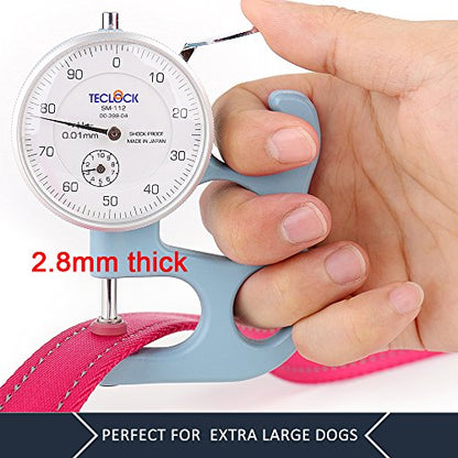 Plutus Pet Double Handle Dog Leash 6ft Long, Padded 2 Handle, Heavy Duty, Reflective Training Leash for Medium Large Dogs, Dual Handle Lead (Pink) - color: Pink, size: 6 FT