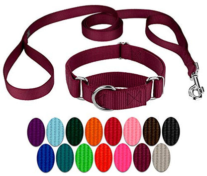 Country Brook Petz - Burgundy Martingale Heavyduty Nylon Dog Collar and Double Handle Leash (1 Inch, Medium) - color: Burgundy, size: Medium (Pack of 1)