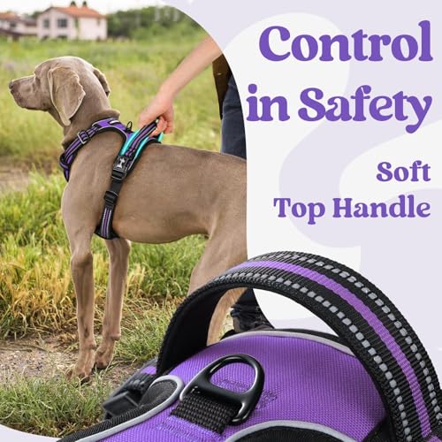 rabbitgoo Dog Harness Small Sized, No Pull Pet Harness with 3 Buckles, Adjustable Soft Padded Vest with Control Handle, Walking Reflective Pet Vest for Small Dogs, Purple, S - color: Purple, size: Small