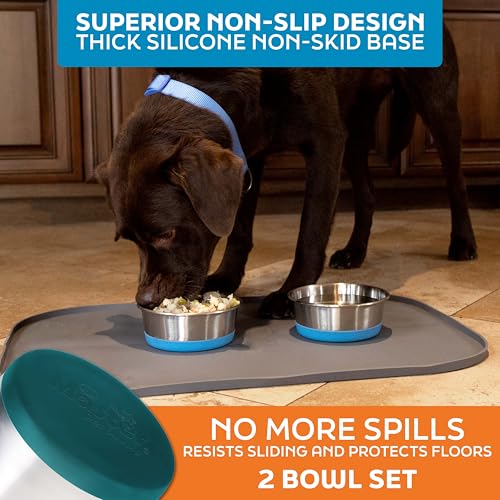 Master Pet Supply Stainless Steel Dog Bowls Set of 2 with Extra Thick Silicone Base - 4 Cup (32 oz) Emerald Sea, Non-Slip, Dishwasher Safe Metal Bowls, Pet Dog Food Bowl for Dogs, Cats, Anti Rust - color: Emerald Sea, size: 4 Cups (32 oz) 2 Pack