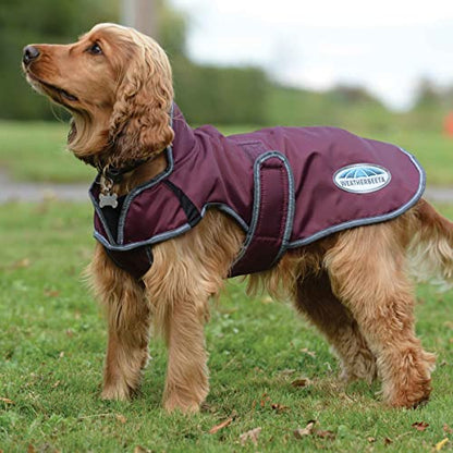 WeatherBeeta ComFiTec Windbreaker Free Deluxe Dog Coat, Maroon/Grey/White, 12" - color: Maroon/Grey/White, size: 12"