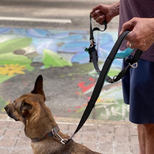 Heavy Duty Dog Leash for Large Dogs – 6FT Reflective Bungee with Padded Handles, Strong Carabiner Clip, No Pull Control for Medium & Large Breeds, Includes Poop Bag Holder & Treat Pouch (Purple) - color: Violet