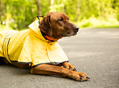 SPOT Rainy Days Slicker - Yellow Dog Rain Jacket With Hood, Reflective Strip for Safety, Leash Hole & Adjustable Velcro Belly Strap, 100% Polyester Water Resistant Pet Raincoat - Large, 17in Long - size: Large