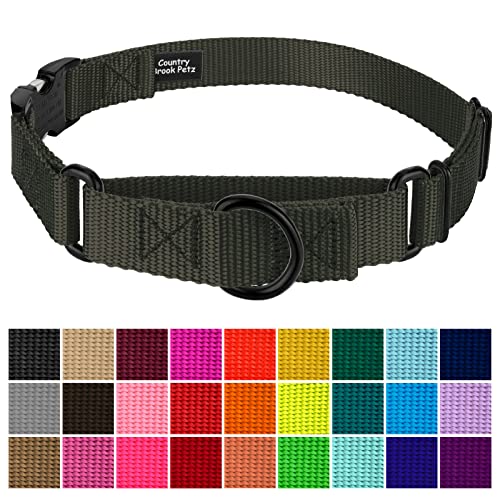 Country Brook Petz - Martingale Dog Collar - Heavy Duty Nylon Adjustable Martingale Dog Collar with Premium Buckle for Small Medium Large Breeds (5/8 Inch, Extra Small, Dark Olive Drab) - color: Dark Olive Drab, size: Extra Small (Pack of 1)