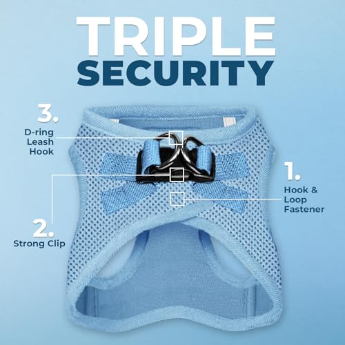 Best Pet Supplies Voyager Step-in Air Harness - All Weather Mesh, Reflective, No Pull Harness for Dogs, Cats - Secure with Hook & Loop Fastener, Buckle, Double D-Rings - Baby Blue, XXS - color: Harness (Baby Blue), size: XXS (Chest: 12 - 13.5")
