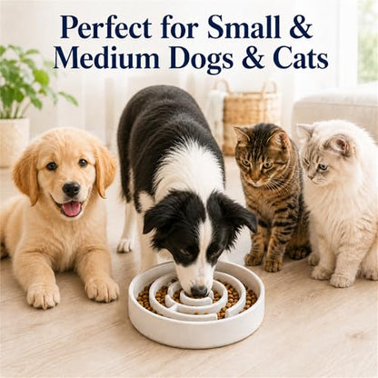 Ceramic Slow Feeder Dog Bowls with Anti-Slip, Slow Feeder & Non-Slip Design, Boredom and Anxiety Reducer, Suitable for All Breed Dogs and Cat (Ceramic-White) - color: Ceramic-White