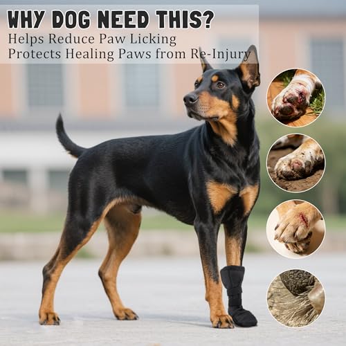 Snugrance Dog Paw Wound Recovery Boot, Lick-Proof Protection, Non-Slip Pet Shoe with Self-Adhesive Strap, Soft Protector for Medium to Large Dogs (L) - size: L