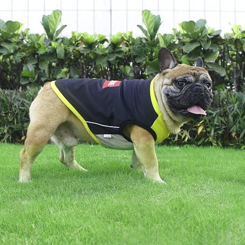 iChoue French Bulldog Summer Cooling Shirt for Dogs UV Sun Protection Vest Sleeveless Stretchy Tank Top English Pug Yellow Black - Large Plus - color: Cooling Shirts Yellow Black, size: Large Plus ( 35 - 45 lbs )
