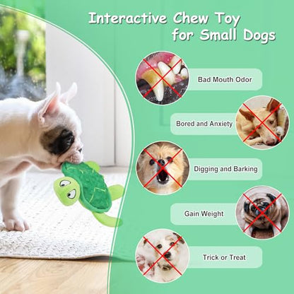 Squeaky Sea Turtle Plush Dog Toy - Durable, No Stuffing, Interactive Chew Toy for Small Dogs - Relieve Anxiety, Teething, and Keep Them Busy for Puppy(Green) - color: Green