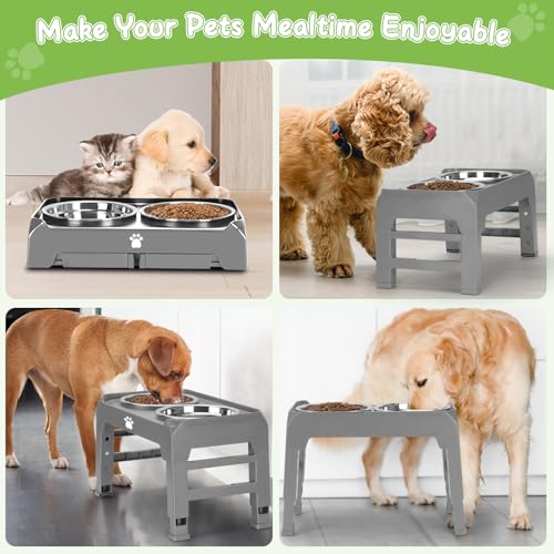 Elevated Raised Dog Bowl Stand with 2 Stainless Steel Bowls, Adjustable Height for Medium Large Dogs, 12.36" - 3.7" Foldable Feeder, Grey - color: Grey, size: Medium dogs