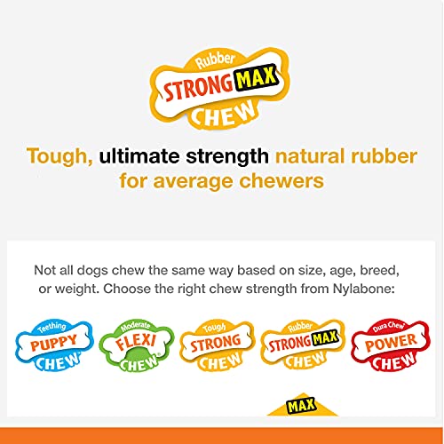 Nylabone Strong Max Chew Braided Ring Chew Toy for Dogs, Beef, Medium/Wolf - Up to 35 lbs. (1 Count) (Pack of 2) - size: Medium up to 35 lbs. (Pack of 2)