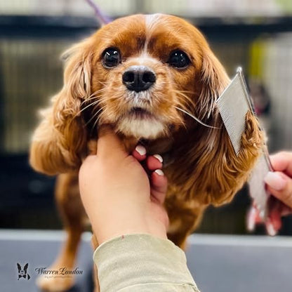 Warren London Copper Greyhound Style Everyday Dog Comb – 7.5" Professional Grooming Comb with Rounded Pins, Fine & Coarse Teeth, Smooth Glide Detangling & Coat Finishing Comb - style: Groomer's Everyday Comb
