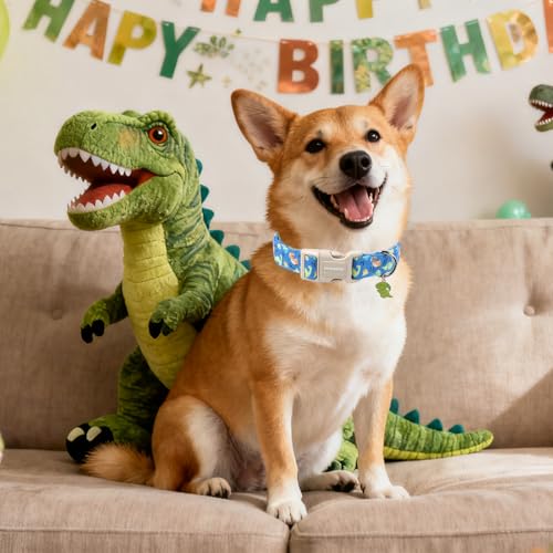 DOGWONG Blue Dog Collar Adjustable Soft Natural Fabric Boy Pet Dog Collar Cute Dinosaur Puppy Collars for Small Medium Large Dogs - color: Z: Dinosaur, size: Extra Small