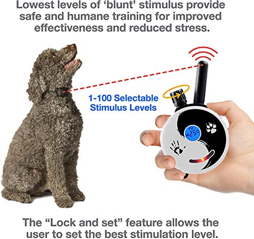 E-Collar ET-300 / ET-302 Dog Training Collar System with Remote - 1/2 Mile Range - Waterproof, Vibration, Sensation - Includes eOutletDeals Pet Towel (1 Dog System - ET-300 Zen) - size: 1 Dog System - ET-300 ZEN