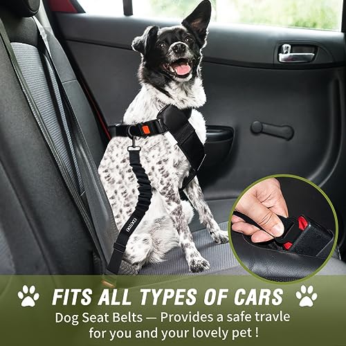 COOYOO Dog Seat Belt,3 Piece Set Retractable Dog Car Adjustable Seatbelts for Vehicle Nylon Pet Safety Heavy Duty & Elastic & Durable Car Harness for Dogs - color: Set 11-Black+Light Green