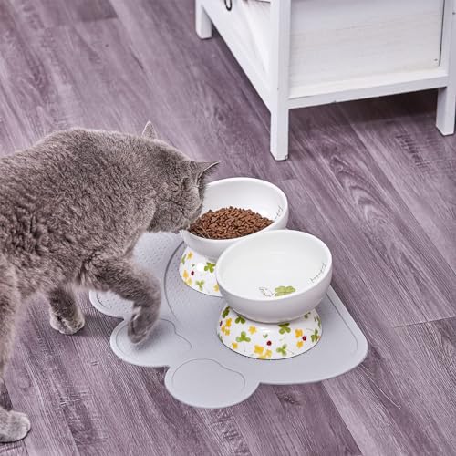 Ceramic Elevated Cat Food and Water Bowls - 2 Pack Small Dog Feeding Set With Tilted Design and Anti-Slip Silicone Mat - color: lucky color