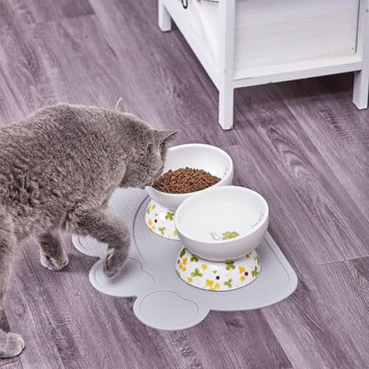 Ceramic Elevated Cat Food and Water Bowls - 2 Pack Small Dog Feeding Set With Tilted Design and Anti-Slip Silicone Mat - color: lucky color