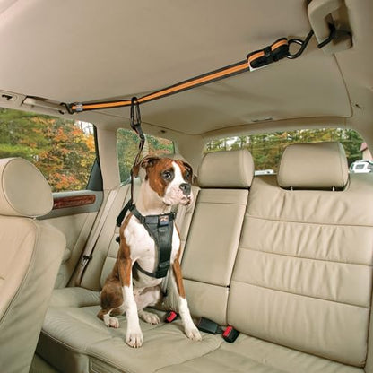 Kurgo Auto Zip Line - Backseat Zipline Harness for Car Travel - Dog Car Accessory for Safe Rides - Adjustable Pet Tether - Durable Nylon Zipline Leash Travel System