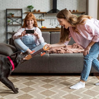 Letsmeet Squeaky Dog Toys - Plush Tug of War with Crinkle Paper, Interactive Pull Toy for Puppies to Large Dogs - color: brown2