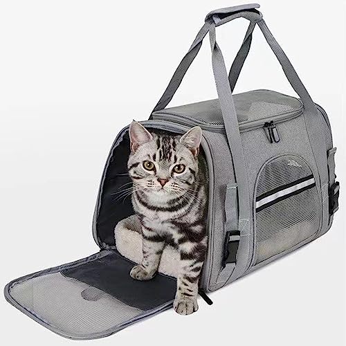 Cat Dog Carrier, Pet Travel Carrier for Small Dogs, Cat Carrying Case Collapsible Dog Carrier, Foldable Soft Sided Animal Carriers Puppy Carry (Purple) - color: Purple