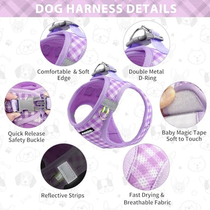 AIITLE Small Dog Harness with Leash – Soft Breathable Mesh, Plaid Pattern & Reflective Strips – Ideal for Training, Running & Party Outings (S, Purple) - color: Purple, size: S