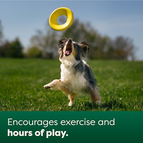 Earth Rated Flying Disc Toy for Dogs and Puppies, Interactive Dog Toys, Saucer Floats in Water, Small, Yellow