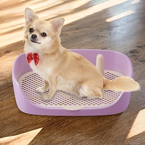 Dog Toilet Training Potty Tray, Pet Pan Bedpan Training Pads Holder Training Pad Toilet Potty Trainer for Small Animals, Home, Puppy, Purple 40x30x11cm - color: Purple 40x30x11cm