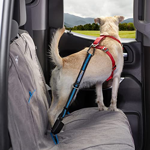 Kurgo Wander Dog Hammock Style Seat Cover, 27.5" Wide, Heather Charcoal Grey, Model:K01783 & Direct to seat Belt Tether for Dogs, Blue