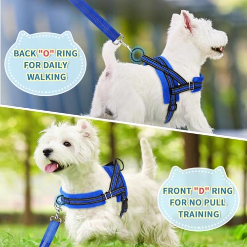 Lukovee No Pull Dog Harness and Leash Set, Soft Padded Small Dog Harness, Neck & Chest Adjustable Reflective Vest Puppy Harness with 4ft Lightweight Anti-Twist Dog Leash for Small Dogs (S, Blue) - color: Blue, size: S ( Chest 17.5'' ~ 22'')