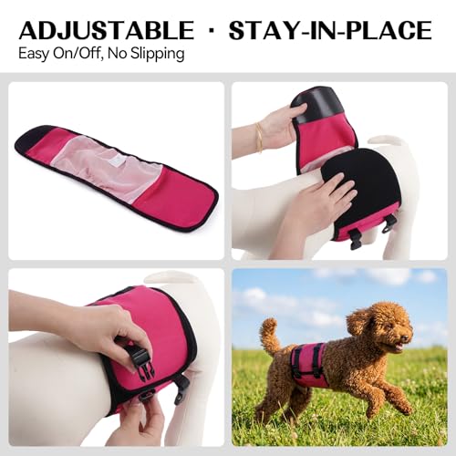 DENTRUN Male Dog Wrap - Machine Washable Post-Surgery Recovery & Heat Cycle Diaper, Prevents Licking, Mounting, Adjustable Belly Band, Marking Prevention Band, Leak-Proof Edges, Fast Drying - color: Pink, size: M