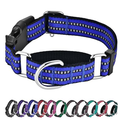 Hikiko Martingale Collar for Dogs Reflective Nylon Dog Collar with Quick Release Buckle Adjustable Training No Slip Dog Collar (Small, Blue) - color: Blue, size: Small