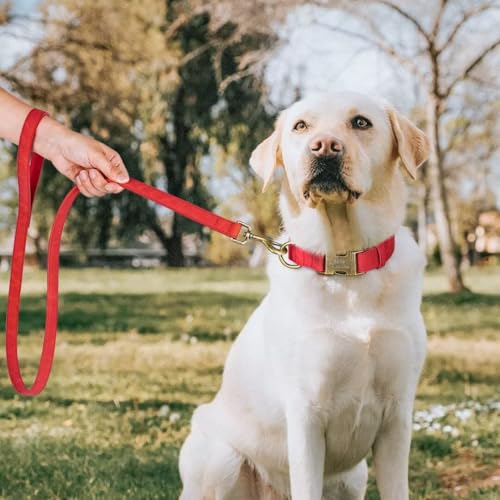 Personalized Dog Collars for Small Dogs, Custom Soft PU Leather Dog Collar with Engraved ID Name and Number, Adjustable & Durable Pet Collars with Quick Release Metal Buckle,S(10-16") - color: Red-Engraving, size: Small: Fit 10-16" Neck