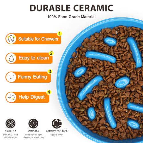 Ceramic Slow Feeder Dog Bowl, 2 Cups Dog Food Bowls for Small, Medium, and Large Breed, Anti-Slip Puzzle Food Dish to Slow Down Eating (Blue, 2 Cups) - color: Maze - Blue