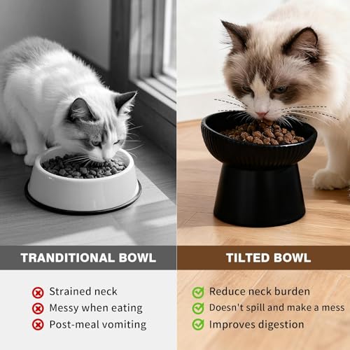 Elevated Cat Food Bowl, Ceramic Raised and Tilted Water Bowl, Whisker Fatigue Cat Bowls for Indoor Cats, Anti Vomiting and Protect Spines Pet Feeding Dishes for Kittens Small Dog, Heavy Non-Slip Base - color: Black