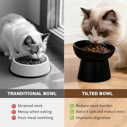 Elevated Cat Food Bowl, Ceramic Raised and Tilted Water Bowl, Whisker Fatigue Cat Bowls for Indoor Cats, Anti Vomiting and Protect Spines Pet Feeding Dishes for Kittens Small Dog, Heavy Non-Slip Base - color: Black