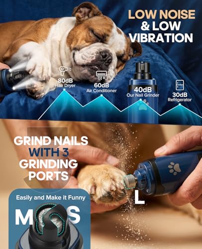 Dog Nail Grinder with 2 LED Lights, Upgraded 2-Speed Rechargeable Pet Nail Trimmer Quiet for Paw Grooming, Powerful Painless Nail Clipper Kit for Small, Medium, Large Dogs & Cats - color: Blue