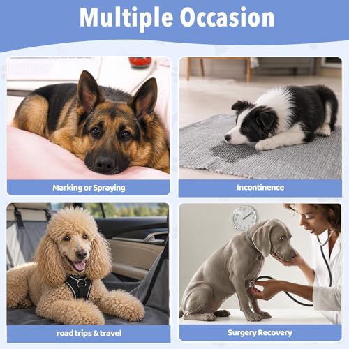 Male Dog Diaper Disposable Wraps for Waist 16–21 in,10 Count Leakproof, Super Absorbent, Adjustable Fit, Wetness Indicator, L - size: Male 10ct Waist 16~21in(L)