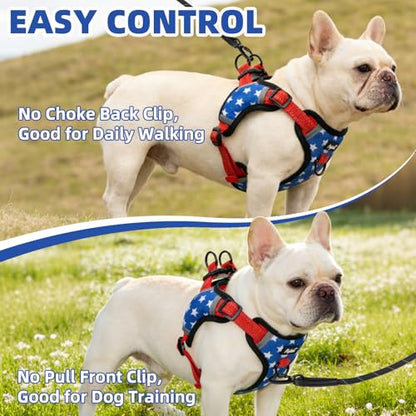 PUPTECK Dog Harness Small Sized Dog, Step in Adjustable Reflective Dog Vest Harness Escape Proof, No Pull Soft Padded Harness Easy Control, Star, S - color: Blue(Stars), size: S (CHEST: 13"-18")