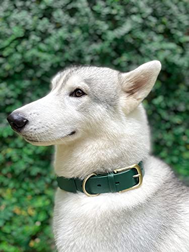 Tuff Pupper Classic Heavy Duty Dog Collar | 10x Stronger Than Leather | 100% Waterproof & Odor Proof Dog Collar | Tough Rust-Proof All Metal Hardware - color: Forest Green