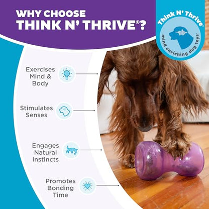 Outward Hound Double Snoop Interactive Treat Dispensing Dog Toy, Puzzle Ball Slow Feeder for Medium to Large Dogs, Mint-Scented for Mental Stimulation & Boredom Relief, 6in x 4in - color: Double Snoop (Purple)