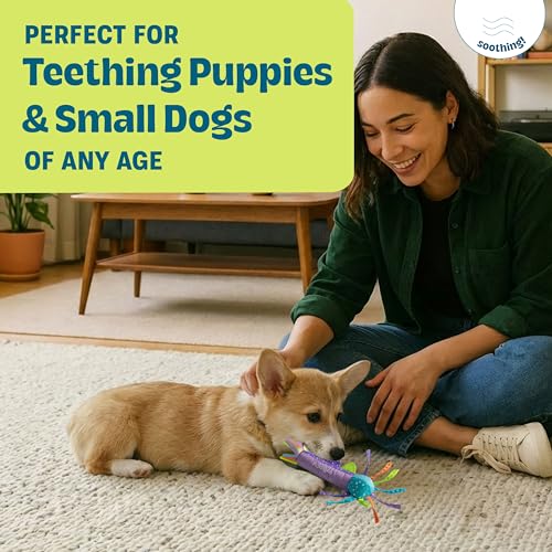 Cool Teething Stick – Puppy Chew Toy for 0–6 Month Puppies, Teething Relief, Freezable & Durable - color: Teething Stick