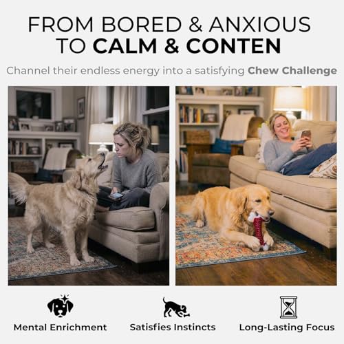 Kseroo 2-Pack Dog Toys for Aggressive Chewers Medium/Large Breed, 8-Inch Solid Nylon Dog Chew Bones, Beef Flavored Tough Dog Toys for 20-90lb Dogs, Red - color: 2PC-Beef-Red