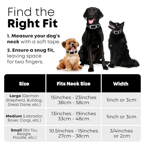 Regal Dog Products Small Black Reflective Dog Collar with Custom Engraved Name Plate and Heavy Duty Center Ring | Waterproof Biothane Personalized Dog Collars - Other Sizes for Medium & Large Dogs - color: Black, size: Small