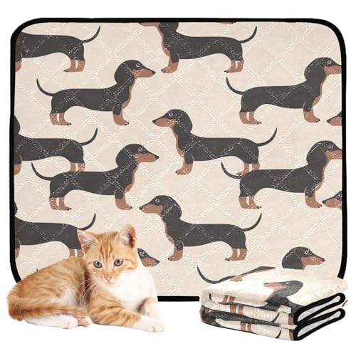 Qilmy Dachshund Dog Pet Mat, Waterproof Reusable Dog Training Pad Anti-Slip Pet Creat Pad for Small Medium Large Dogs and Cats - size: Smallx3