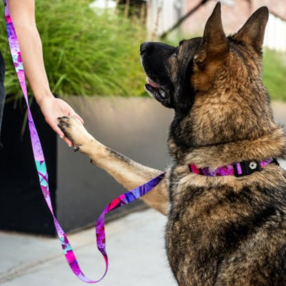 Wolfgang Heavy Duty, Adjustable Dog Collar with Quick Release Nylon Buckle for Walking & Training, Daydream Print, Small - color: DayDream Print, size: Small (5/8 Inch x 8-12 Inch)